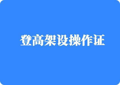 骚老逼影院登高架设操作证