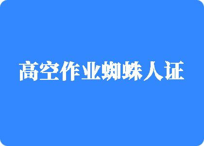 污插鸡亚洲高空作业蜘蛛人证